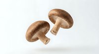 Fresh brown portobello mushrooms floating on white background isolated for culinary design and healthy cooking recipes.