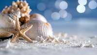 Seashells and starfish on sandy beach with bokeh lights creating dreamy coastal atmosphere for summer vacation and marine themed designs.