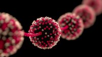 Red coronavirus particles with spike proteins floating on black background for medical education and scientific research presentations.