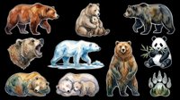 Watercolor bear sticker set isolated on transparent background, featuring grizzly, polar, panda, and brown bears in various poses, ready for clipart, t-shirt design, and print on demand.