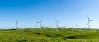 Wind turbines dotting rolling green hills under clear blue sky, representing renewable energy and sustainable power generation for environmental and industrial projects.
