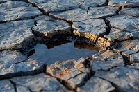 Cracked dry soil with small water puddle reflecting sunlight, dramatic texture of parched earth showing effects of drought and climate change on environment.