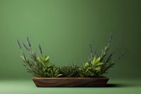 Aromatic herbs arrangement in wooden planter with lavender, rosemary and mint against green background, perfect for culinary or wellness concepts.