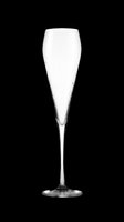 Empty champagne flute glass isolated on transparent background, ready for design use on t-shirts, stickers, print-on-demand products, and digital designs.