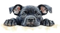 Adorable black puppy with big eyes and paws resting on surface, watercolor style artwork showing sweet expression of young dog looking up at viewer.