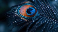 Vibrant peacock feather with water droplets in dark blue tones showing iridescent eye pattern and delicate barbs, creating dramatic macro photography effect.