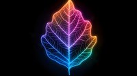 Glowing neon oak leaf with rainbow gradient colors on black background, detailed veins and structure illuminated with vibrant light effect for nature designs.