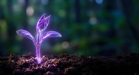 Purple glowing plant seedling emerging from dark soil with bokeh background representing growth, innovation, and new beginnings in nature and technology.