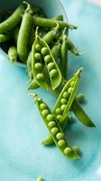 Fresh green peas in open pods arranged on turquoise surface, ideal for food, cooking, nutrition, and healthy eating content.