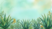 Watercolor botanical border with aloe vera, succulents, and wildflowers on a soft teal background, perfect for cards and invitations.