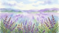 Watercolor lavender field landscape with purple flowers and rolling hills in soft pastel tones for relaxation and aromatherapy designs.