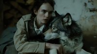 Young woman in beige coat bonding with gray timber wolf in moody atmospheric setting, dramatic lighting creates mystical wilderness connection. Wildlife photography concept.