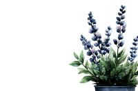 Watercolor lavender plant in dark pot against white background, delicate blue-purple flowers and green foliage, botanical illustration style. Isolated artwork for decor.