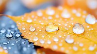 Macro photography of water droplets on yellow autumn leaf surface showing nature's purity and seasonal change. Bokeh background creates dreamy atmosphere.