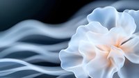 Elegant white flower with soft petals floating above flowing silk waves creating dreamy ethereal atmosphere for luxury design projects.