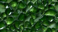 Fresh whole limes with water drops and textured skin create vibrant pattern in bright green color, closeup view showing natural citrus fruit details.