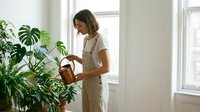 Young woman watering houseplants with copper watering can in bright modern home interior with large windows and natural light for plant care routine.