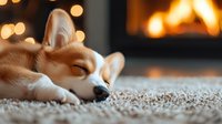 Sleeping corgi puppy on carpet near fireplace with warm bokeh lights in background, creating cozy home atmosphere for winter holiday season and comfort concept.