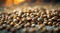 Roasted coffee beans with golden bokeh background, close-up view showing texture and warm tones for food industry and beverage marketing.
