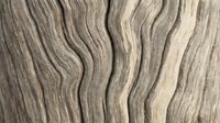 Wavy wood grain texture with natural striations and flowing lines, suitable for backgrounds, interior design projects, and surface material applications.
