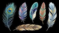 Colorful decorative feathers set isolated on transparent background, ready for stickers, t-shirt design, sublimation, print on demand, and clipart projects.