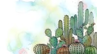 Watercolor cactus garden with various desert plants including saguaro, prickly pear and barrel cacti on soft pastel background for botanical decor.