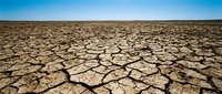 Cracked, parched earth stretches across arid landscape under clear blue sky, depicting severe drought, desertification, climate change, and environmental degradation for editorial and awareness campaigns.