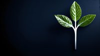 Young green plant sprout with three leaves growing on white stem against dark background, minimalist nature concept for growth and development.