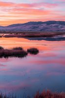 Tranquil wetland landscape at sunset with pink and orange sky reflecting in calm water, mountain silhouettes in background and marsh grass in foreground.