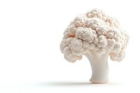 Fresh organic cauliflower head with dense white florets isolated on white background, minimalist composition showing natural vegetable texture and form.