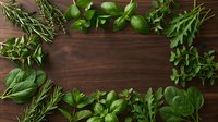 Fresh herbs frame on rustic wooden background with basil, rosemary, mint and parsley creating natural border for culinary cooking and healthy food concepts.