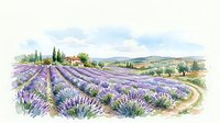 Watercolor lavender field landscape with a rustic farmhouse, cypress trees, and rolling hills under a soft cloudy sky, isolated on white.