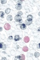 Watercolor spheres in navy blue, pink and transparent gray create an ethereal floating pattern on white background, suitable for textile and surface design.