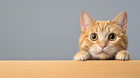 Curious ginger cat peeking over wooden surface against gray background, looking up with big eyes and paws visible, showing playful hunting behavior.
