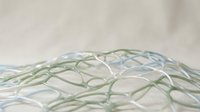 Abstract network of intertwined green and blue lines creating organic flowing patterns on white background for modern design projects and presentations.