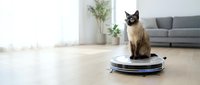 Siamese cat sitting on robotic vacuum cleaner in modern living room with gray sofa and plants. Smart home cleaning technology and pet lifestyle concept.