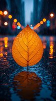 Orange autumn leaf with raindrops against blurred city lights background in rain, creating magical mood with bokeh reflections on wet surface.