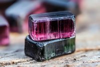 Raw watermelon tourmaline crystal specimens showing distinctive pink and green color zones on black tourmaline base, natural mineral photography closeup.