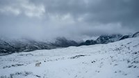 Snowy mountain landscape with dramatic cloudy sky and rolling white hills covered in fresh winter snow and sparse vegetation.