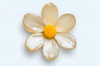 Single white daisy flower with translucent pearly petals and yellow center isolated on white background, suitable for decorative designs and floral arrangements.