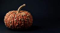 Textured orange pumpkin with stem isolated on dark background, suitable for autumn harvest designs, fall decorations, and seasonal marketing materials.