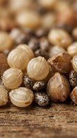 Mixed collection of natural gemstones and minerals including quartz crystals, agate stones, and speckled pebbles arranged on rustic wooden surface.