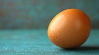 Fresh brown chicken egg on turquoise textured background with soft shadow and copy space. Minimalist food photography for healthy eating concept.