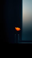 Single orange flower in glass vase against dark background creates dramatic minimalist composition with moody lighting and deep shadows.