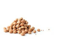 Fresh raw chickpeas pile isolated on white background, natural organic legumes and pulses for healthy protein-rich cooking and Mediterranean cuisine.