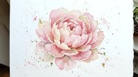 Delicate pink peony flower watercolor painting with soft petals and artistic paint splatters on white paper background for botanical art and floral design projects.