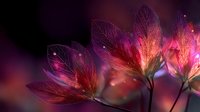 Delicate translucent flower petals with intricate vein patterns glowing in vibrant pink and purple hues against dark background. Perfect for mystical nature designs.