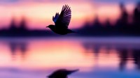 Silhouette of a bird in flight over calm water at sunset, with pink and purple sky reflections, ideal for nature and wildlife themes.