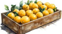 Fresh ripe oranges with green leaves arranged in rustic wooden box, watercolor style illustration for food packaging and menu design.
