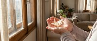 Woman hands holding small succulent plant in cozy sunlit living room with wooden windows. Indoor gardening and home decoration concept for wellness lifestyle.